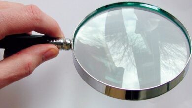 Magnifying Glass in Hand 700.jpg